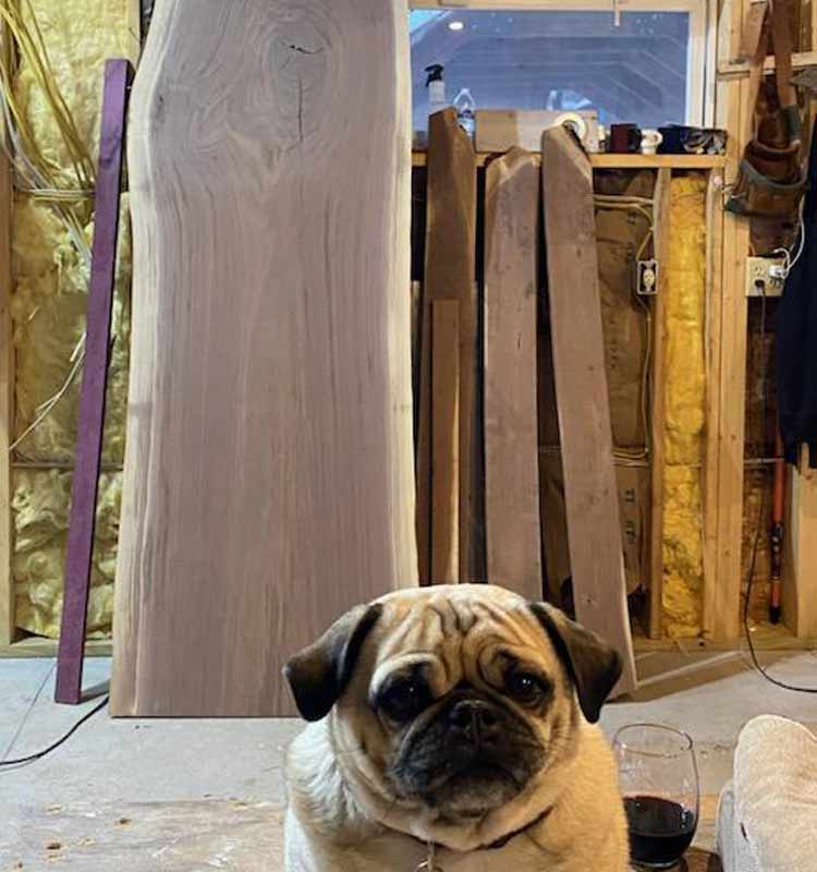 Available Live Edge Boards with cute pug Dory in foreground